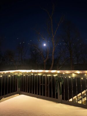 Debby Ryan Instagram - We sat under the full moon— the cold supermoon— reminiscing on our life as a family of two, and told the child I was harboring that we were ready to become three. By midday, Felix was born under christmas lights with snow outside our bedroom window, right into her father’s hands. Joshua was an incredible teammate, and somehow didn’t get pulled into the tub and drowned and is taking such good care of his girls on this side of things. I was fortified by an incredible birth team, and the strength and wisdom of some women who have supported me on this journey near and far. 
Her hair is made of silk and her breath smells like vanilla ice cream and every chirp, squeak and whimper is music and everytime I look away and look back, she’s gotten smaller somehow. I know too soon, I’ll look away and look back and she’ll be bigger and bigger still so for now I’d like to spend my days trapped under the immovable 8 pounds of Felix Winter Dun. 
I’ve been a lot of things but her home, a grow light, a portal to bring a new soul into the world— these are my greatest honors. Welcome to earth lil moonbeam. Love you forever 🌙✨