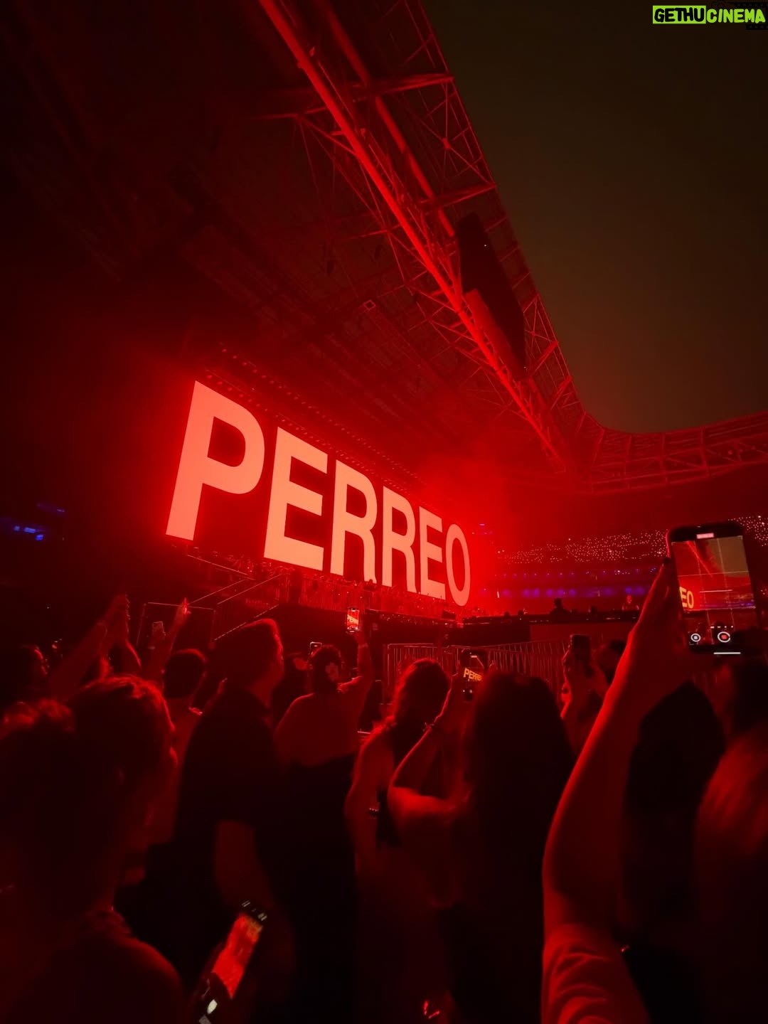 Débora Falabella - 31.4K Likes - Foi de chorar de lindo!
@badbunnypr 
Um artista no seu auge. Muito bonito de ver.

E como bailamos, né @franferraretto .

Muito obrigada @allianzparque  @fattimaamaral e @a.lua.a por isso.❤️