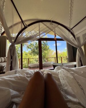 Dimpi Sanghvi Instagram - best you ever had 🦂

🐾 @ritzcarltonmasaimara 

#masaimara #dimpisanghvi #africa #kenya #theritzcarltonmasaimara
