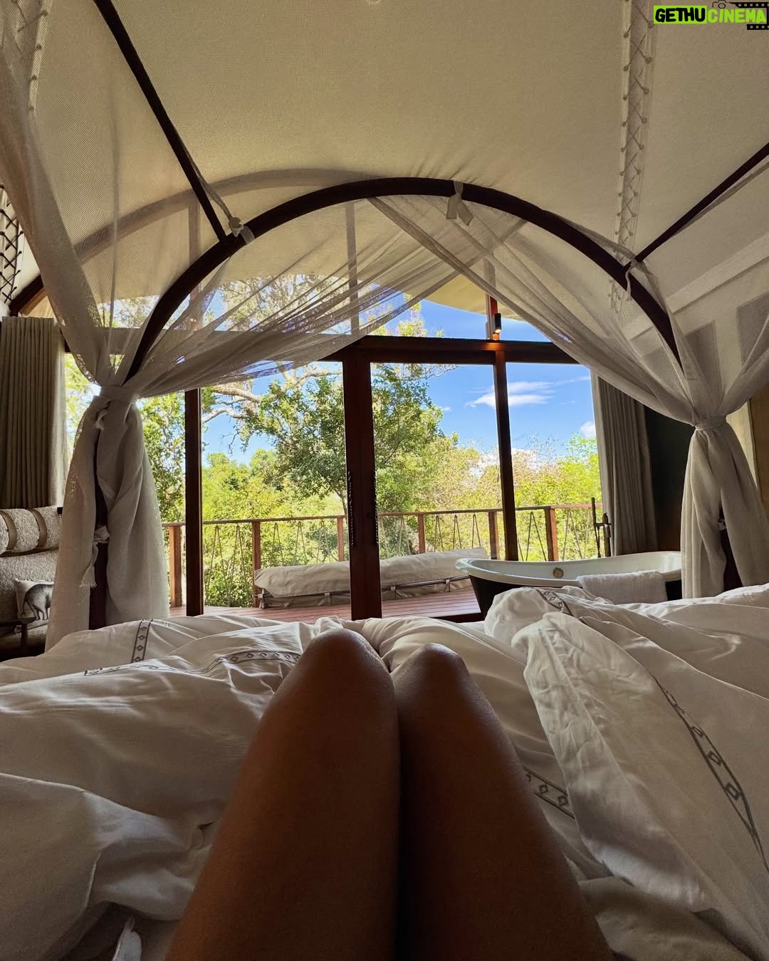 Dimpi Sanghvi - 72.2K Likes - best you ever had 🦂

🐾 @ritzcarltonmasaimara 

#masaimara #dimpisanghvi #africa #kenya #theritzcarltonmasaimara