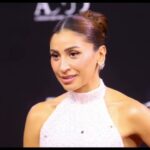Dina El Sherbiny