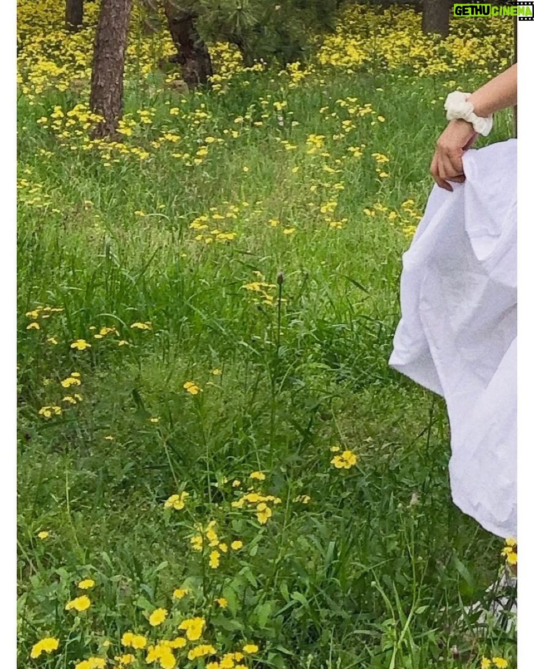 Duan Xiaowei - 19.6K Likes - 昨天
yesterday🧚
