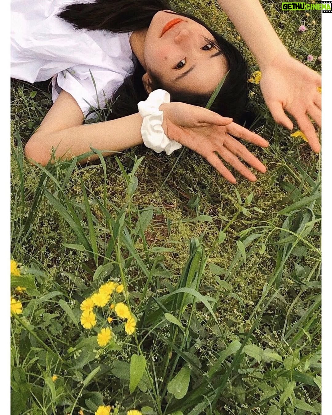 Duan Xiaowei - 19.6K Likes - 昨天
yesterday🧚