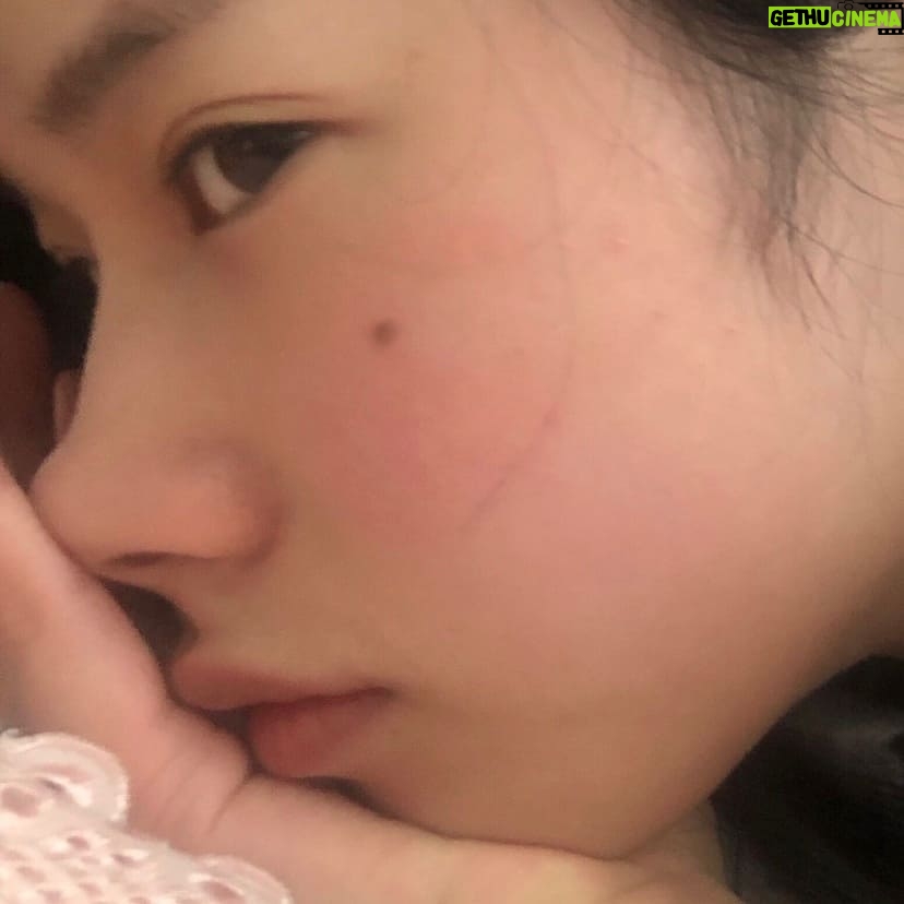 Duan Xiaowei - 15.6K Likes - 🐽
