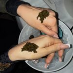 Elisa De Panicis