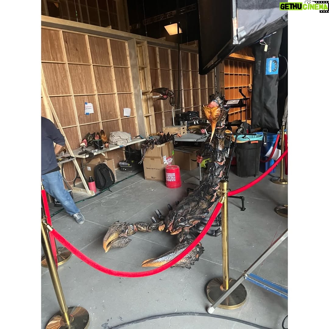 Ella Purnell - 242.3K Likes - stupid ridiculous silly amounts of late. BUT. look how much fun we had making this season. I love this family so much. I love this show. Enjoy some silly ol’ bts!!!!! 🤡🎪🎲💥🤖😈👻🎀 FALLOUT SEASON 2 BABY!!!!!