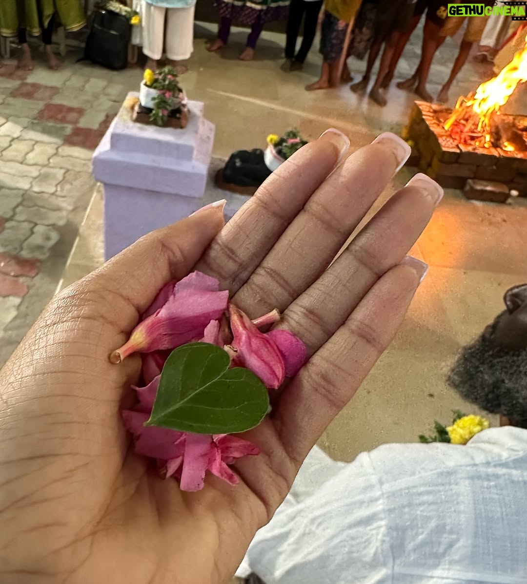 Elle Monae - 3 Likes - A very blessed birthday.♒️🪔💕 I visited sacred temples, priest and, healing waterfalls. Just seeing how other people live and have such ancient practices is so eye opening. One of the things the priest say is if you visit Indias sacred temples you have been called there. I can tell.🕉️💕