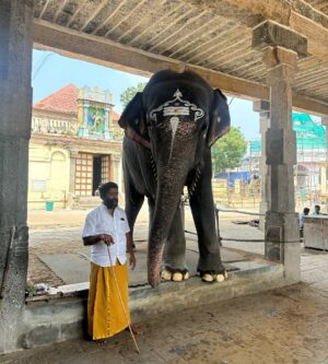 Elle Monae Instagram - A very blessed birthday.♒️🪔💕 I visited sacred temples, priest and, healing waterfalls. Just seeing how other people live and have such ancient practices is so eye opening. One of the things the priest say is if you visit Indias sacred temples you have been called there. I can tell.🕉️💕