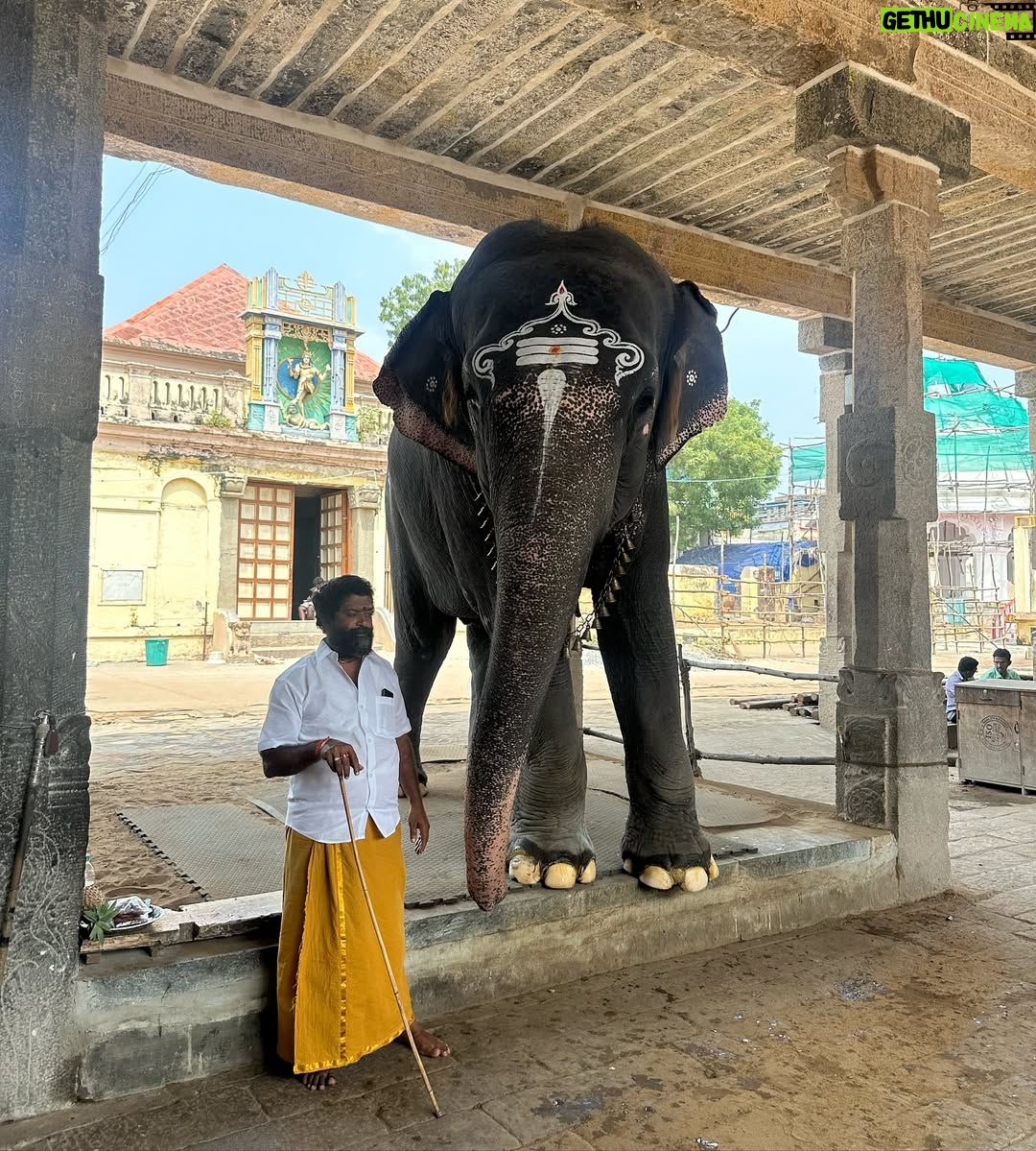 Elle Monae - 3 Likes - A very blessed birthday.♒️🪔💕 I visited sacred temples, priest and, healing waterfalls. Just seeing how other people live and have such ancient practices is so eye opening. One of the things the priest say is if you visit Indias sacred temples you have been called there. I can tell.🕉️💕