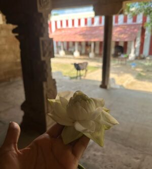 Elle Monae Instagram - A very blessed birthday.♒️🪔💕 I visited sacred temples, priest and, healing waterfalls. Just seeing how other people live and have such ancient practices is so eye opening. One of the things the priest say is if you visit Indias sacred temples you have been called there. I can tell.🕉️💕