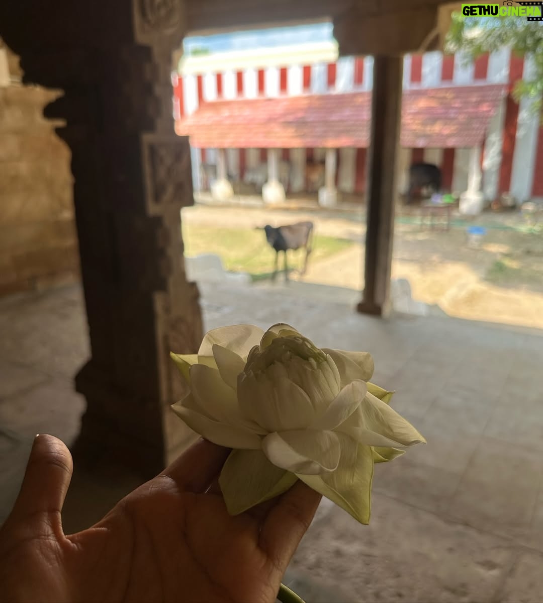 Elle Monae - 3 Likes - A very blessed birthday.♒️🪔💕 I visited sacred temples, priest and, healing waterfalls. Just seeing how other people live and have such ancient practices is so eye opening. One of the things the priest say is if you visit Indias sacred temples you have been called there. I can tell.🕉️💕