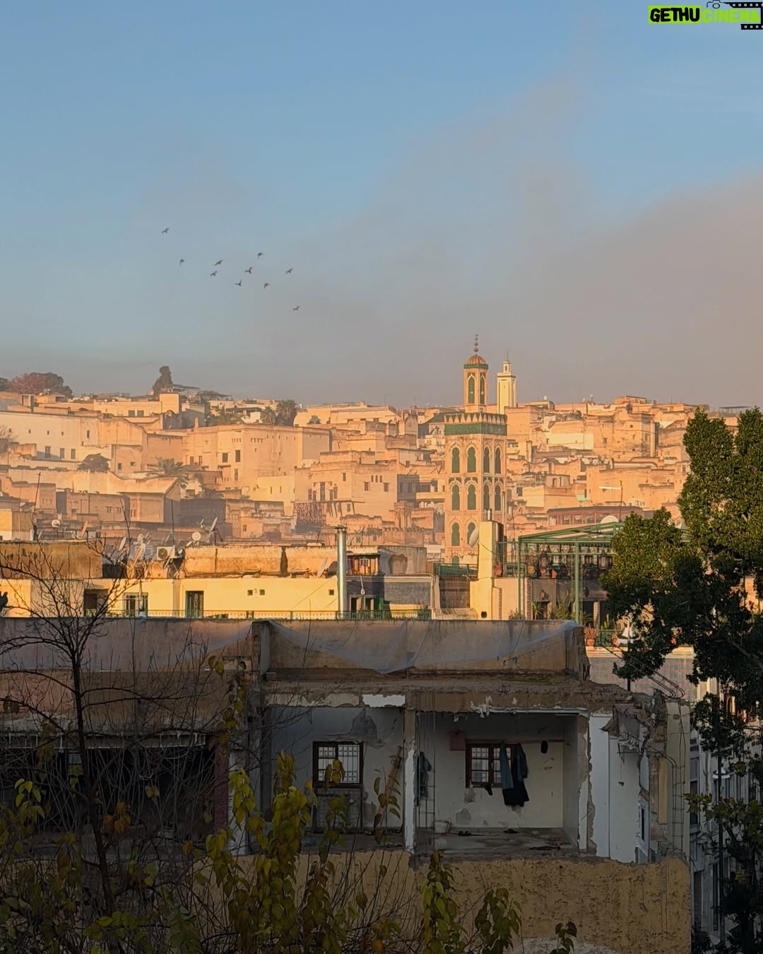 Eloise van Oranje - 14.5K Likes - I spent the last days of 2025 in Morocco — specifically Rabat and Fes. What a beautiful country, every single time. The energy, the deeply rooted history and religion, the food — all of it. And the people: even in places shaped by tourism, still so warm and welcoming.

The first days of 2026 have already passed, which made me wonder — do people still set intentions or goals? Let me know in the comments.
One of mine this year is to feel more grounded in who I am, what I do, and where I’m going. To truly figure out what I love, what I want, and what I’m building towards.

One of the first ways I’m doing that is by taking a longer solo trip — which feels very exciting. I can’t wait to share, but more on that soon. Do you already have guesses where I might be going?