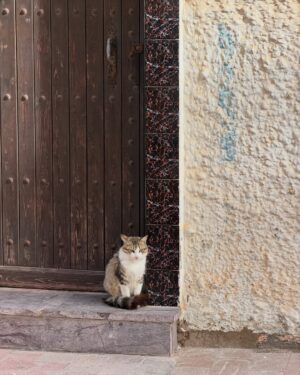 Eloise van Oranje Instagram - I spent the last days of 2025 in Morocco — specifically Rabat and Fes. What a beautiful country, every single time. The energy, the deeply rooted history and religion, the food — all of it. And the people: even in places shaped by tourism, still so warm and welcoming.

The first days of 2026 have already passed, which made me wonder — do people still set intentions or goals? Let me know in the comments.
One of mine this year is to feel more grounded in who I am, what I do, and where I’m going. To truly figure out what I love, what I want, and what I’m building towards.

One of the first ways I’m doing that is by taking a longer solo trip — which feels very exciting. I can’t wait to share, but more on that soon. Do you already have guesses where I might be going?