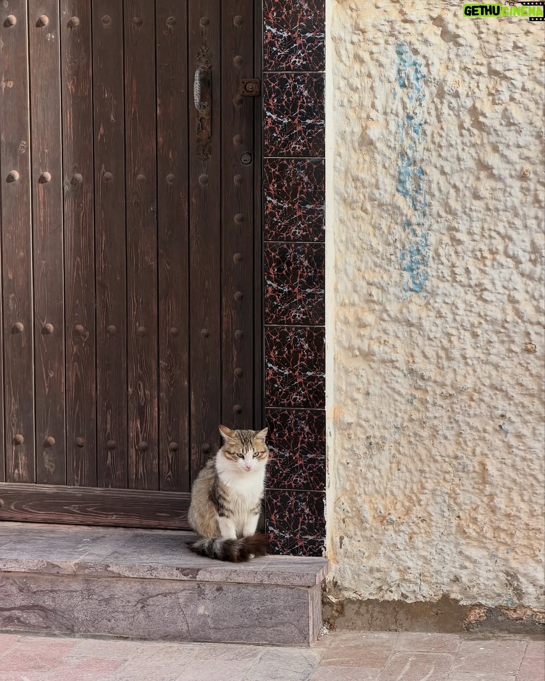 Eloise van Oranje - 14.5K Likes - I spent the last days of 2025 in Morocco — specifically Rabat and Fes. What a beautiful country, every single time. The energy, the deeply rooted history and religion, the food — all of it. And the people: even in places shaped by tourism, still so warm and welcoming.

The first days of 2026 have already passed, which made me wonder — do people still set intentions or goals? Let me know in the comments.
One of mine this year is to feel more grounded in who I am, what I do, and where I’m going. To truly figure out what I love, what I want, and what I’m building towards.

One of the first ways I’m doing that is by taking a longer solo trip — which feels very exciting. I can’t wait to share, but more on that soon. Do you already have guesses where I might be going?