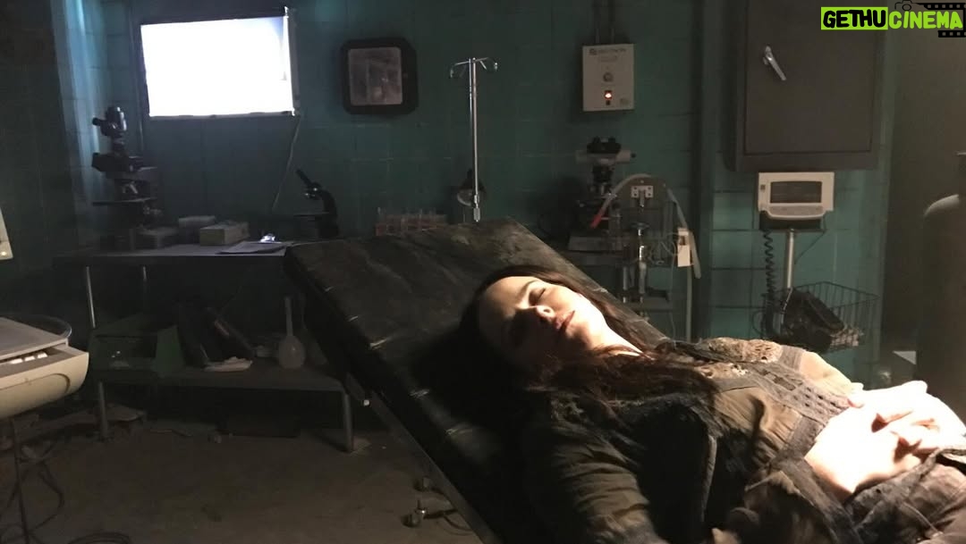 Emily Hampshire - 13.9K Likes - #2016 was a GREAT year: I shot #schittscreek during the day and #12monkeys at night, @amyjuliasegal made my fave @schittscreek webisode (remember webisodes?), @syfy put out this cool #jennifergoines commercial, I slept everywhere I could (on sets & read thrus), I got Invisalign, Stevie got a suitcase of makeup, @amandaschull drew pics of my Bitmoji when I couldn’t be at the read thrus, I met little Terry the 🐢 who I got to watch grow up, and I saw this hibernating bear sleeping bag online for the first time and have asked Santa for it every Xmas since!
