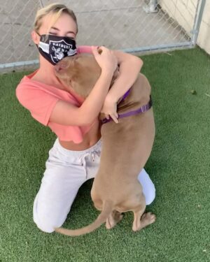 Emma Kotos Instagram - 3 years ago today, I rescued @fuzzynelson from @angelcitypits ❤️🎂 I don’t know his actual birth date but today is the day we choose to celebrate because it’s the day my life changed forever. I used to be very scared of all dogs because of a dog attack when I was young that left me with a scar on my right eye. Fuzzy has taught me a lot about dogs. He has taught me a lot about unconditional love. He is my son, my best friend, my baby, and my whole world. I have done and will do anything for him to have the best life possible.
To my Fuzzy Nelson, Nelly Belly, Fuzz light year, Nelrooni, stinky boy…I love you and happy birthday ❤️