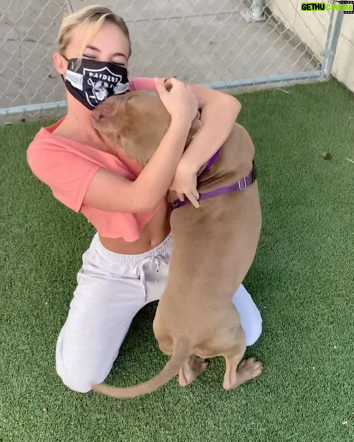 Emma Kotos - 4.6K Likes - 3 years ago today, I rescued @fuzzynelson from @angelcitypits ❤️🎂 I don’t know his actual birth date but today is the day we choose to celebrate because it’s the day my life changed forever. I used to be very scared of all dogs because of a dog attack when I was young that left me with a scar on my right eye. Fuzzy has taught me a lot about dogs. He has taught me a lot about unconditional love. He is my son, my best friend, my baby, and my whole world. I have done and will do anything for him to have the best life possible. 
To my Fuzzy Nelson, Nelly Belly, Fuzz light year, Nelrooni, stinky boy…I love you and happy birthday ❤️