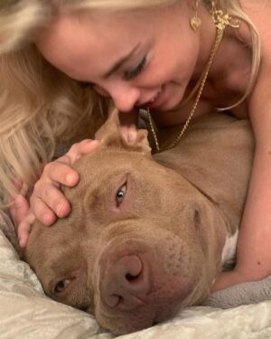 Emma Kotos Instagram - 3 years ago today, I rescued @fuzzynelson from @angelcitypits ❤️🎂 I don’t know his actual birth date but today is the day we choose to celebrate because it’s the day my life changed forever. I used to be very scared of all dogs because of a dog attack when I was young that left me with a scar on my right eye. Fuzzy has taught me a lot about dogs. He has taught me a lot about unconditional love. He is my son, my best friend, my baby, and my whole world. I have done and will do anything for him to have the best life possible.
To my Fuzzy Nelson, Nelly Belly, Fuzz light year, Nelrooni, stinky boy…I love you and happy birthday ❤️