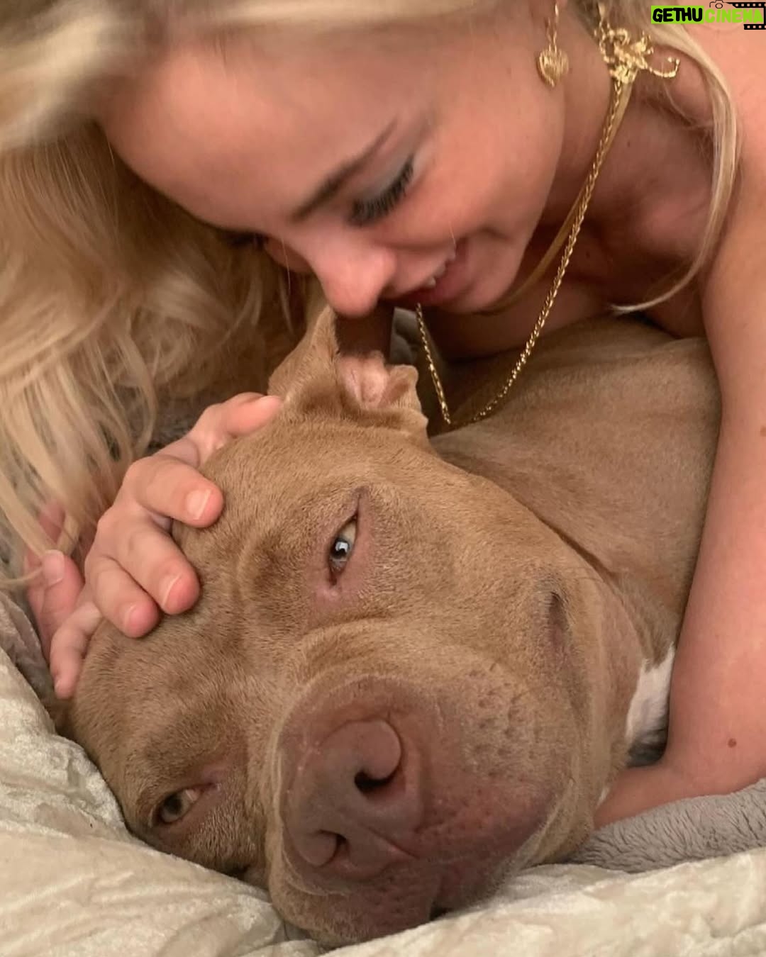 Emma Kotos - 4.6K Likes - 3 years ago today, I rescued @fuzzynelson from @angelcitypits ❤️🎂 I don’t know his actual birth date but today is the day we choose to celebrate because it’s the day my life changed forever. I used to be very scared of all dogs because of a dog attack when I was young that left me with a scar on my right eye. Fuzzy has taught me a lot about dogs. He has taught me a lot about unconditional love. He is my son, my best friend, my baby, and my whole world. I have done and will do anything for him to have the best life possible. 
To my Fuzzy Nelson, Nelly Belly, Fuzz light year, Nelrooni, stinky boy…I love you and happy birthday ❤️