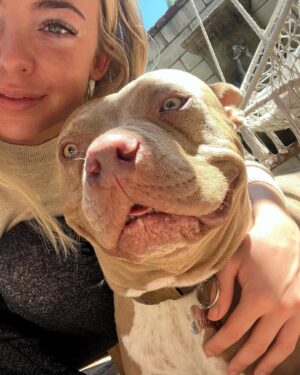 Emma Kotos Instagram - 3 years ago today, I rescued @fuzzynelson from @angelcitypits ❤️🎂 I don’t know his actual birth date but today is the day we choose to celebrate because it’s the day my life changed forever. I used to be very scared of all dogs because of a dog attack when I was young that left me with a scar on my right eye. Fuzzy has taught me a lot about dogs. He has taught me a lot about unconditional love. He is my son, my best friend, my baby, and my whole world. I have done and will do anything for him to have the best life possible.
To my Fuzzy Nelson, Nelly Belly, Fuzz light year, Nelrooni, stinky boy…I love you and happy birthday ❤️