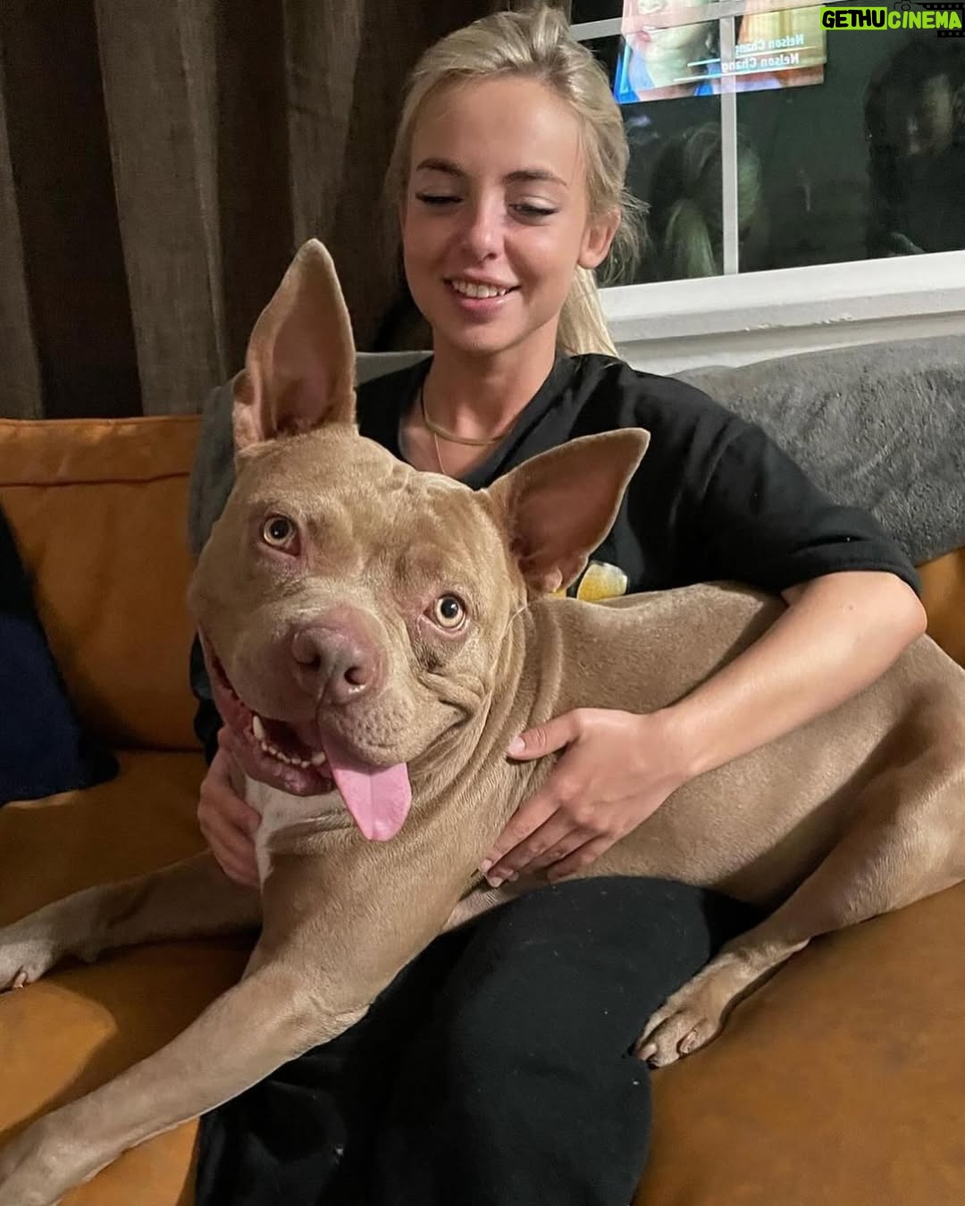 Emma Kotos - 4.6K Likes - 3 years ago today, I rescued @fuzzynelson from @angelcitypits ❤️🎂 I don’t know his actual birth date but today is the day we choose to celebrate because it’s the day my life changed forever. I used to be very scared of all dogs because of a dog attack when I was young that left me with a scar on my right eye. Fuzzy has taught me a lot about dogs. He has taught me a lot about unconditional love. He is my son, my best friend, my baby, and my whole world. I have done and will do anything for him to have the best life possible. 
To my Fuzzy Nelson, Nelly Belly, Fuzz light year, Nelrooni, stinky boy…I love you and happy birthday ❤️