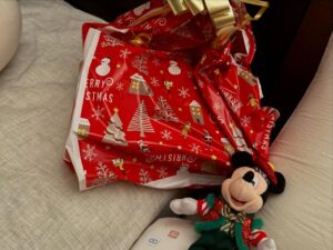 Erina Mano Instagram - Merry Christmas🎄
今年は👶🏻に初めてサンタさんが来ました🎅🏻🤭
朝起きて枕元に置いてあるプレゼントを見つけて
あれ？って感じで指をさして取りに行った姿が愛おしかったです☺️
.
.
すっかり恒例の？！
毎年クリスマスに撮っている家族写真📷
話し合ってないのに同じ色味の服を選んでた😂
#家族写真
#merrychristmas
