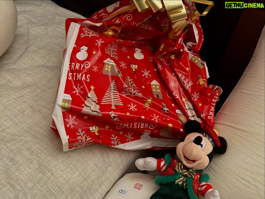 Erina Mano - 50K Likes - Merry Christmas🎄
今年は👶🏻に初めてサンタさんが来ました🎅🏻🤭
朝起きて枕元に置いてあるプレゼントを見つけて
あれ？って感じで指をさして取りに行った姿が愛おしかったです☺️
.
.
すっかり恒例の？！
毎年クリスマスに撮っている家族写真📷
話し合ってないのに同じ色味の服を選んでた😂
#家族写真
#merrychristmas