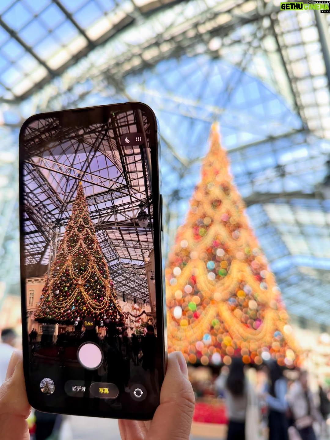 Erina Mano - 18.3K Likes - 🎄🏰✨
少し前に行ったディズニーの写真！
👶🏻は初めてのクリスマスディズニー🫧
クリスマスのディズニーってパーク内を歩くだけで
いつも以上にワクワクする〜！！
パパに買ってもらったミッキーのぬいぐるみバッジ
気に入ったみたいでずっと嬉しそうに持ってました🤭
帰りの車では持ったまま夢のなかへ🥱💤
.
.
イッツ・ア・スモールワールドがお休み期間で乗れなかったけど
アリスのティーパーティーに乗って
カントリーベア・シアターにも入れました🐻
夜はランドホテルの中にあるレストランカンナに初めて行けて
どのお料理も美味しくて幸せすぎるディナーだった🍽️☺️
.
.
ネイルはこの日に合わせてミニーデザインのネイルシールを前日の夜にしました❤️
赤だからクリスマスっぽさも出てお気に入り🎀
#休日
#お出かけ
#ディズニーランド
#クリスマスディズニー
#楽しかった
#家族時間
#息抜き
