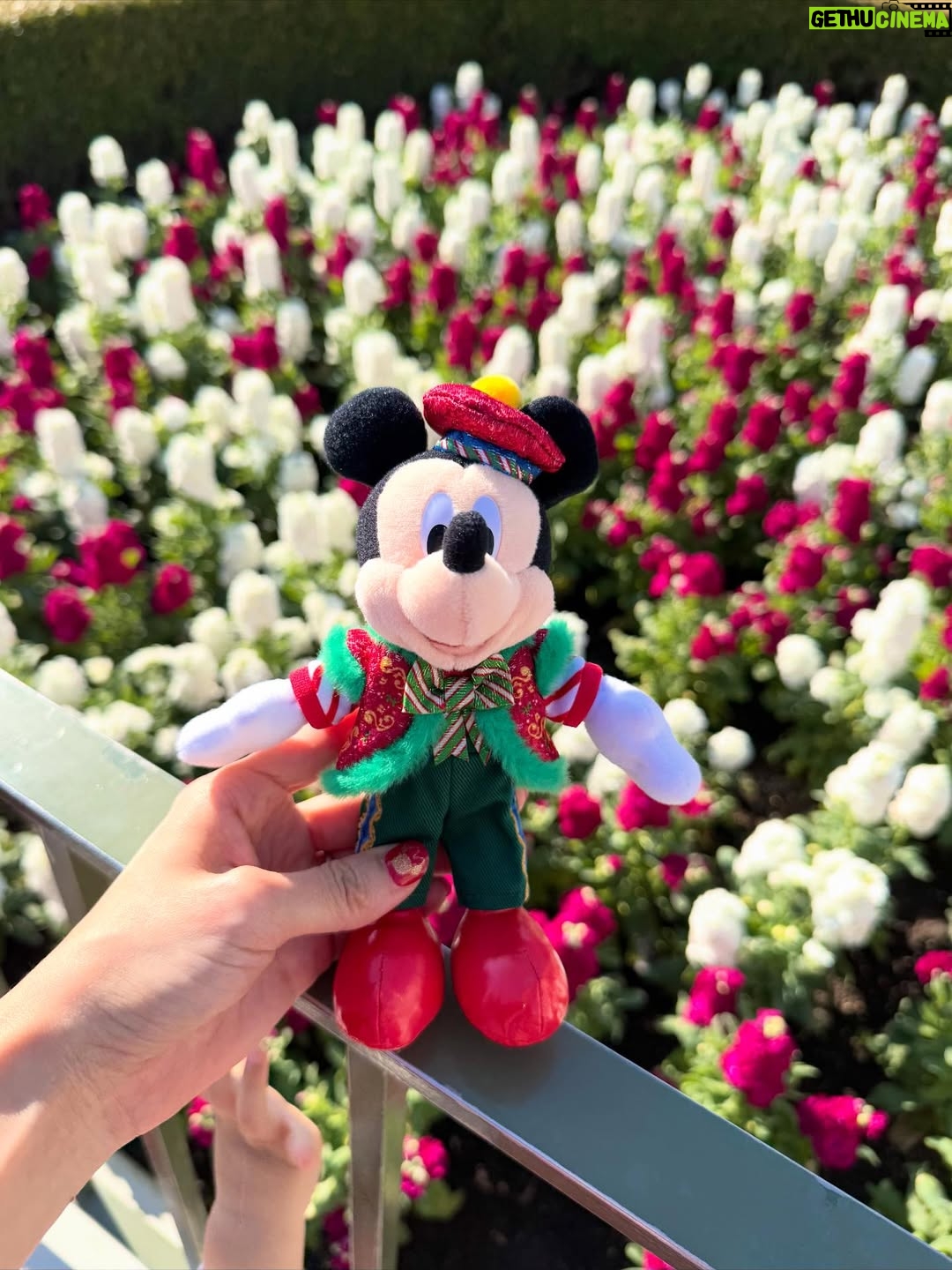 Erina Mano - 18.3K Likes - 🎄🏰✨
少し前に行ったディズニーの写真！
👶🏻は初めてのクリスマスディズニー🫧
クリスマスのディズニーってパーク内を歩くだけで
いつも以上にワクワクする〜！！
パパに買ってもらったミッキーのぬいぐるみバッジ
気に入ったみたいでずっと嬉しそうに持ってました🤭
帰りの車では持ったまま夢のなかへ🥱💤
.
.
イッツ・ア・スモールワールドがお休み期間で乗れなかったけど
アリスのティーパーティーに乗って
カントリーベア・シアターにも入れました🐻
夜はランドホテルの中にあるレストランカンナに初めて行けて
どのお料理も美味しくて幸せすぎるディナーだった🍽️☺️
.
.
ネイルはこの日に合わせてミニーデザインのネイルシールを前日の夜にしました❤️
赤だからクリスマスっぽさも出てお気に入り🎀
#休日
#お出かけ
#ディズニーランド
#クリスマスディズニー
#楽しかった
#家族時間
#息抜き