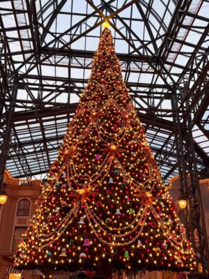 Erina Mano Instagram - 🎄🏰✨
少し前に行ったディズニーの写真！
👶🏻は初めてのクリスマスディズニー🫧
クリスマスのディズニーってパーク内を歩くだけで
いつも以上にワクワクする〜！！
パパに買ってもらったミッキーのぬいぐるみバッジ
気に入ったみたいでずっと嬉しそうに持ってました🤭
帰りの車では持ったまま夢のなかへ🥱💤
.
.
イッツ・ア・スモールワールドがお休み期間で乗れなかったけど
アリスのティーパーティーに乗って
カントリーベア・シアターにも入れました🐻
夜はランドホテルの中にあるレストランカンナに初めて行けて
どのお料理も美味しくて幸せすぎるディナーだった🍽️☺️
.
.
ネイルはこの日に合わせてミニーデザインのネイルシールを前日の夜にしました❤️
赤だからクリスマスっぽさも出てお気に入り🎀
#休日
#お出かけ
#ディズニーランド
#クリスマスディズニー
#楽しかった
#家族時間
#息抜き
