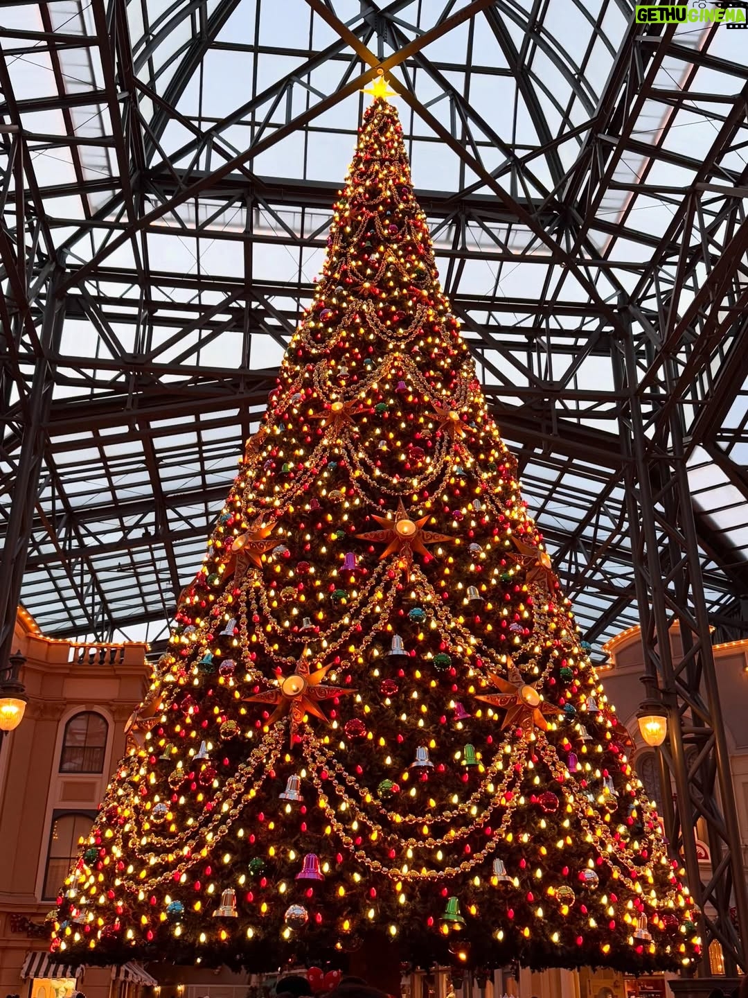 Erina Mano - 18.3K Likes - 🎄🏰✨
少し前に行ったディズニーの写真！
👶🏻は初めてのクリスマスディズニー🫧
クリスマスのディズニーってパーク内を歩くだけで
いつも以上にワクワクする〜！！
パパに買ってもらったミッキーのぬいぐるみバッジ
気に入ったみたいでずっと嬉しそうに持ってました🤭
帰りの車では持ったまま夢のなかへ🥱💤
.
.
イッツ・ア・スモールワールドがお休み期間で乗れなかったけど
アリスのティーパーティーに乗って
カントリーベア・シアターにも入れました🐻
夜はランドホテルの中にあるレストランカンナに初めて行けて
どのお料理も美味しくて幸せすぎるディナーだった🍽️☺️
.
.
ネイルはこの日に合わせてミニーデザインのネイルシールを前日の夜にしました❤️
赤だからクリスマスっぽさも出てお気に入り🎀
#休日
#お出かけ
#ディズニーランド
#クリスマスディズニー
#楽しかった
#家族時間
#息抜き