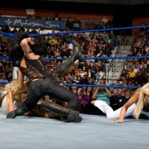 Eve Torres Instagram - The Divas Division dissolved into chaos 16 years ago when Melina attacked Maryse (who just defeated Eve Torres) and then was attacked by Michelle McCool! #wwe #smackdown