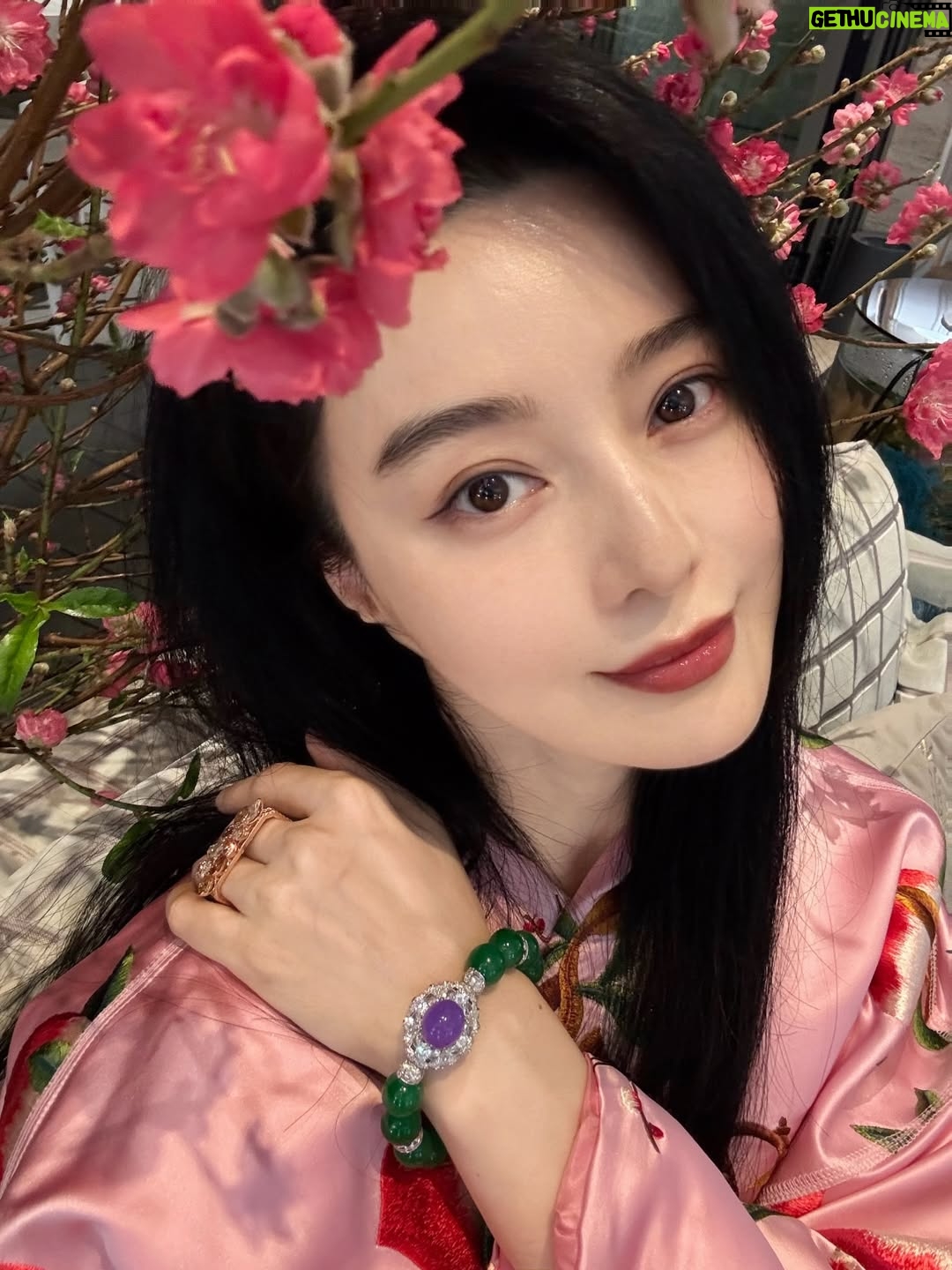Most liked Instagram photo of Fan Bingbing