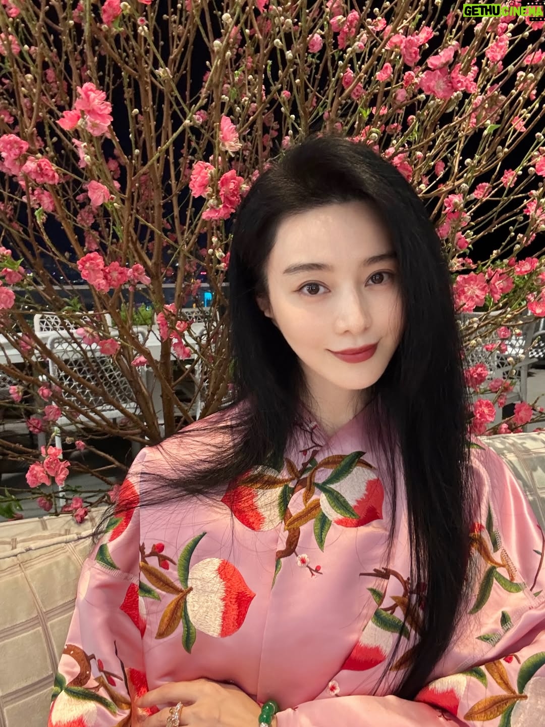 Fan Bingbing - 128.2K Likes - 除夕夜快乐！