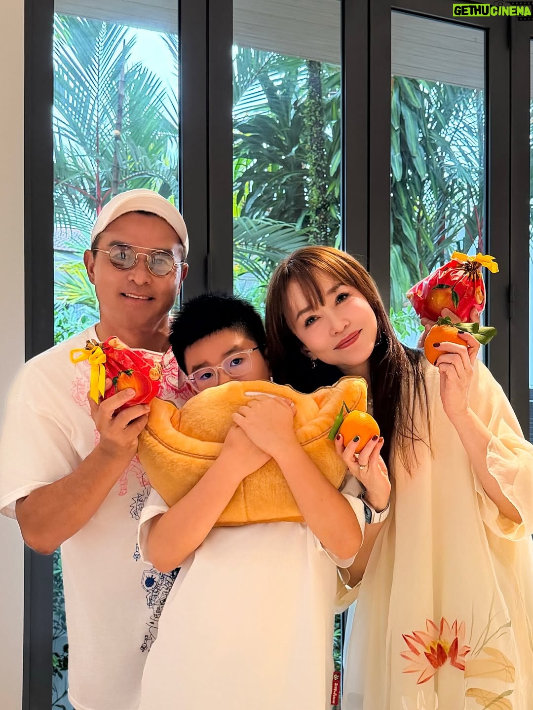 Fann Wong - 14.3K Likes - 在新的一年里，㊗️大家如骏马奔腾，前程似锦！身体健康，万事如意，天天都有好心情！🧧🧨