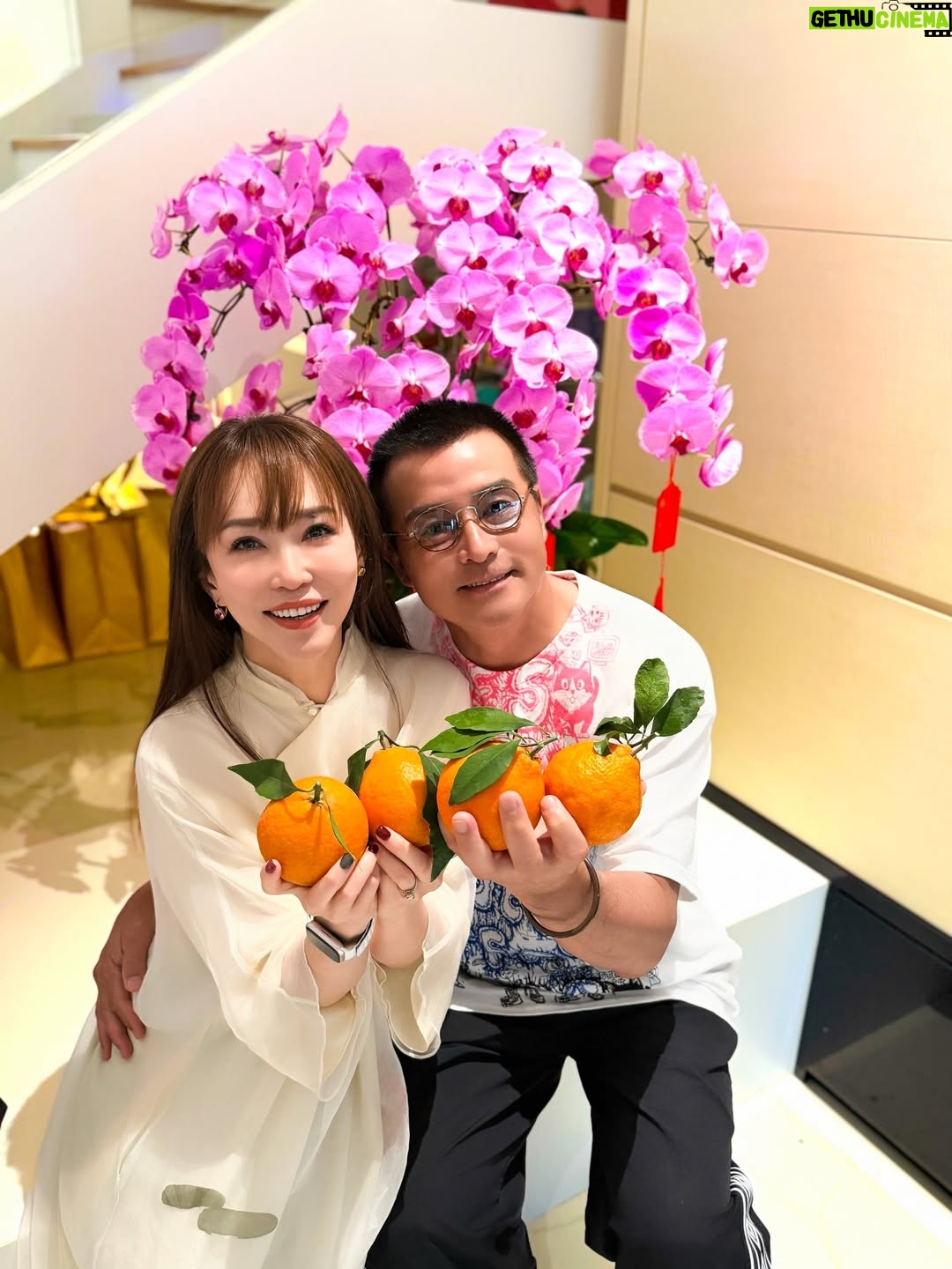 Fann Wong - 14.3K Likes - 在新的一年里，㊗️大家如骏马奔腾，前程似锦！身体健康，万事如意，天天都有好心情！🧧🧨