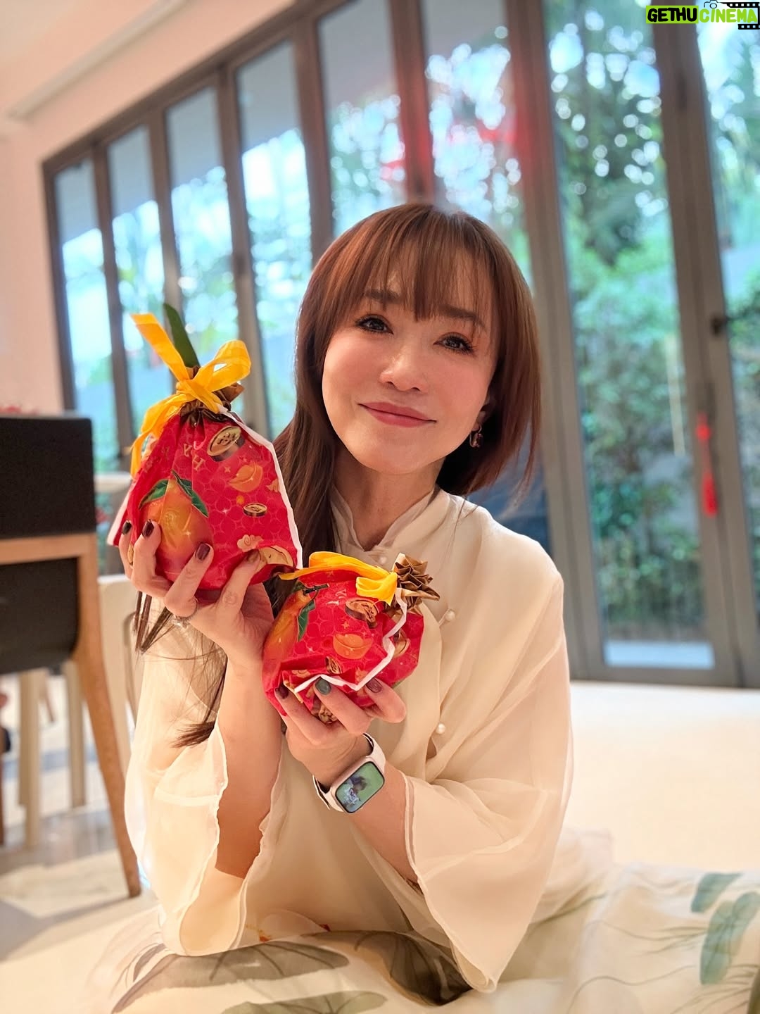 Fann Wong - 14.3K Likes - 在新的一年里，㊗️大家如骏马奔腾，前程似锦！身体健康，万事如意，天天都有好心情！🧧🧨