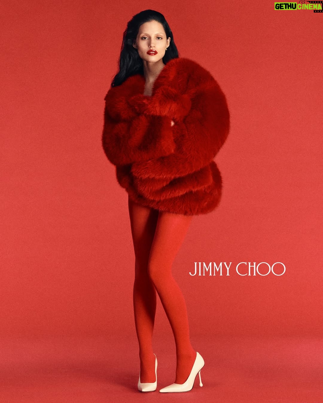 Gabbriette - 146.4K Likes - I DO IN @JIMMYCHOO