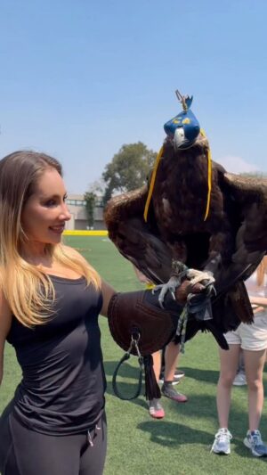 Gabriela Carrillo Instagram - Tranquilos, solo vine a saludar al águila más famosa de México. 🦅😎
