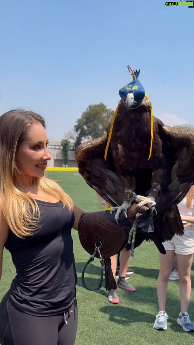 Gabriela Carrillo - 12.9K Likes - Tranquilos, solo vine a saludar al águila más famosa de México. 🦅😎