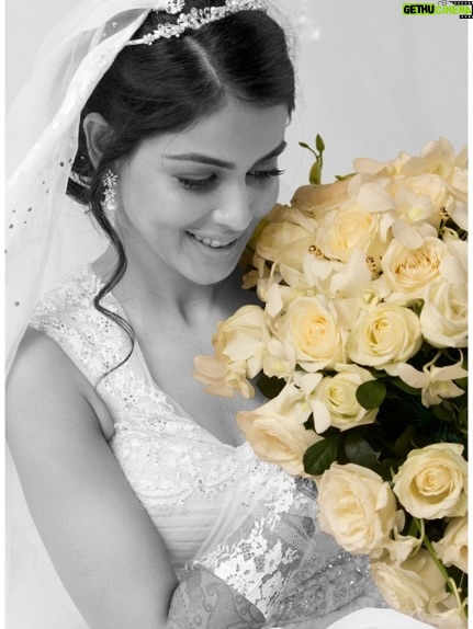 Genelia D'Souza - 1.5 Million Likes - I love you partner - today, tomorrow- forever 💚
You will always be my favourite chapter in this beautiful story Life 💚
Happy Anniversary @riteishd