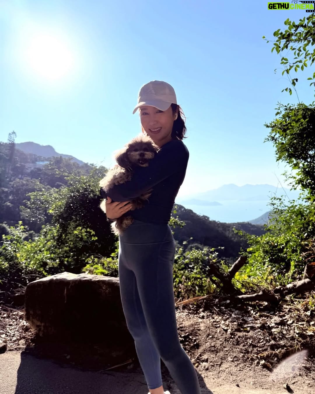 Gigi Lai Chi - 11.2K Likes - Hiking with Ruby💕☀️🐾
#hiking