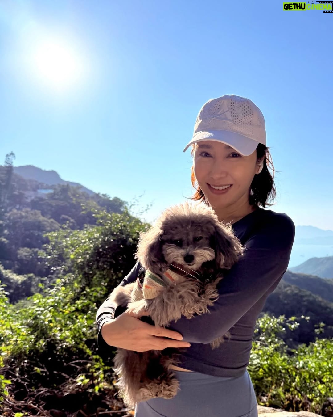 Gigi Lai Chi - 11.2K Likes - Hiking with Ruby💕☀️🐾
#hiking