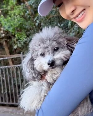 Gigi Lai Chi Instagram - Hiking with Ruby💕☀️🐾
#hiking