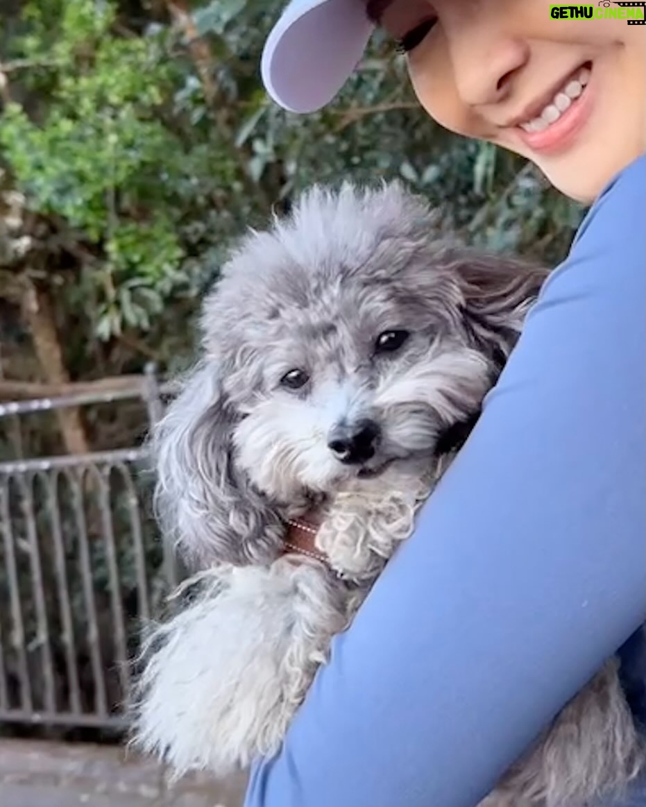 Gigi Lai Chi - 11.2K Likes - Hiking with Ruby💕☀️🐾
#hiking