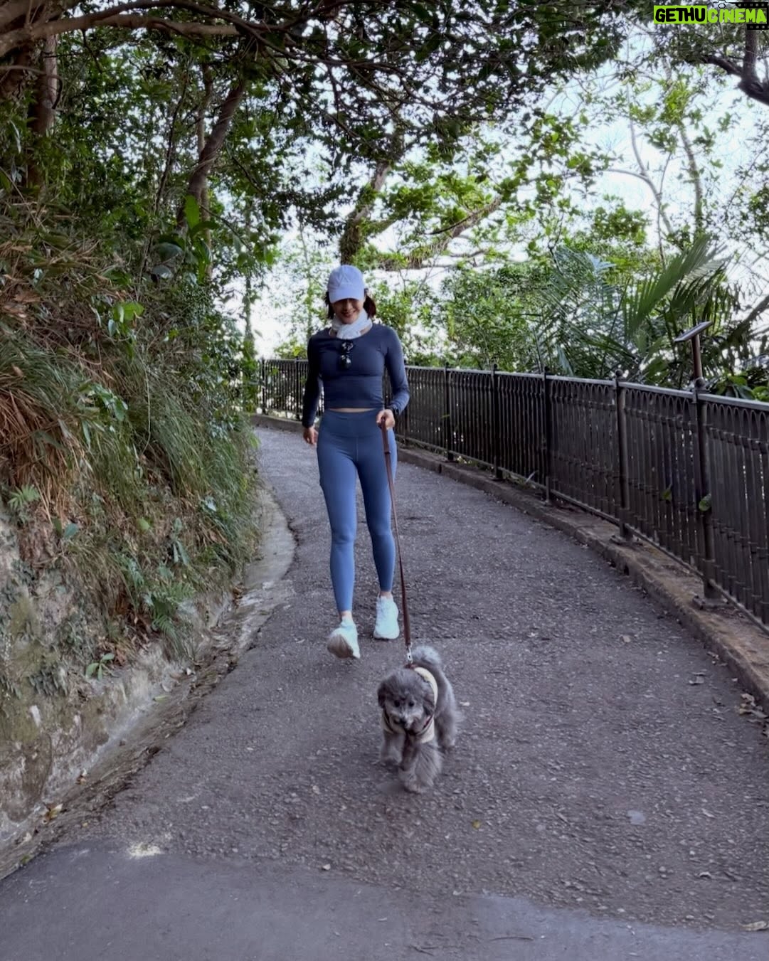 Gigi Lai Chi - 11.2K Likes - Hiking with Ruby💕☀️🐾
#hiking