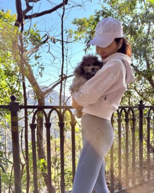 Gigi Lai Chi Instagram - Hiking with Ruby💕☀️🐾
#hiking