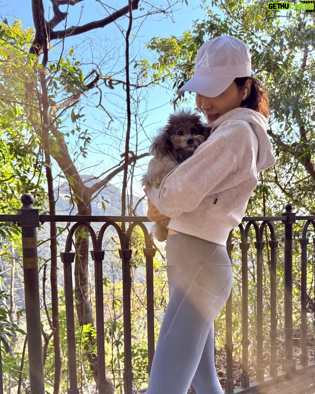 Gigi Lai Chi - 11.2K Likes - Hiking with Ruby💕☀️🐾
#hiking