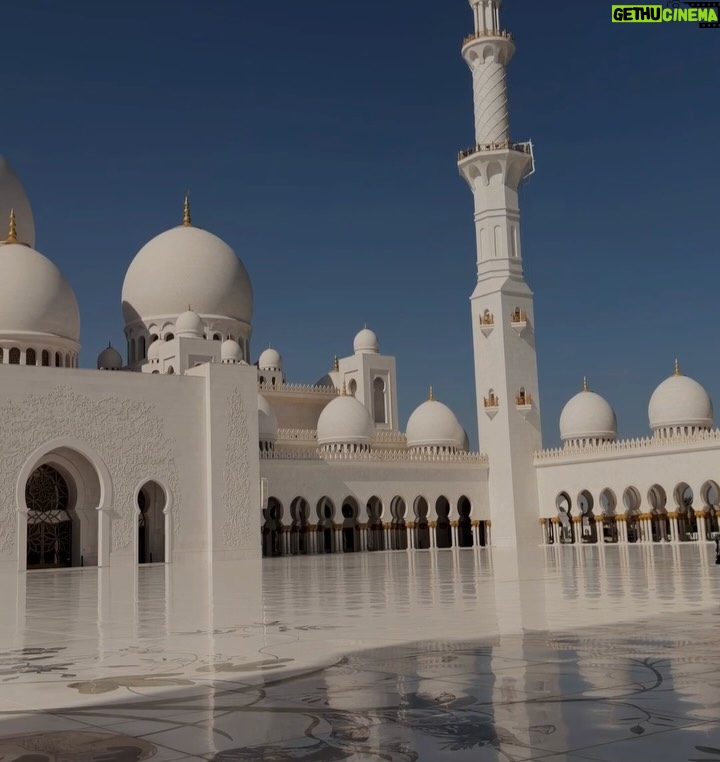 Guadalupe González - 1.1K Likes - #abudhabi