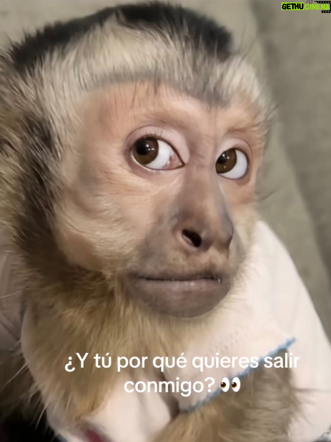 Guadalupe González - 4.1K Likes - 